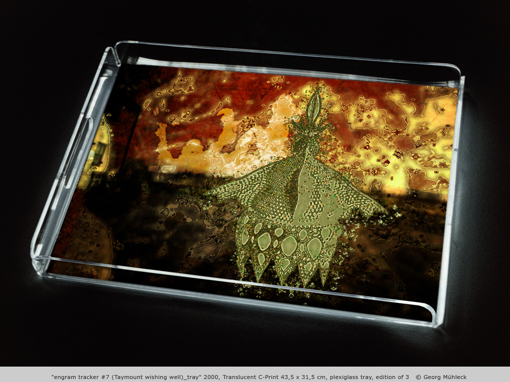 "engram tracker #7 (Taymount wishing well)_tray" 2000, Translucent C-Print 43,5 x 31,5 cm, plexiglass tray, edition of 3   © Georg Mühleck