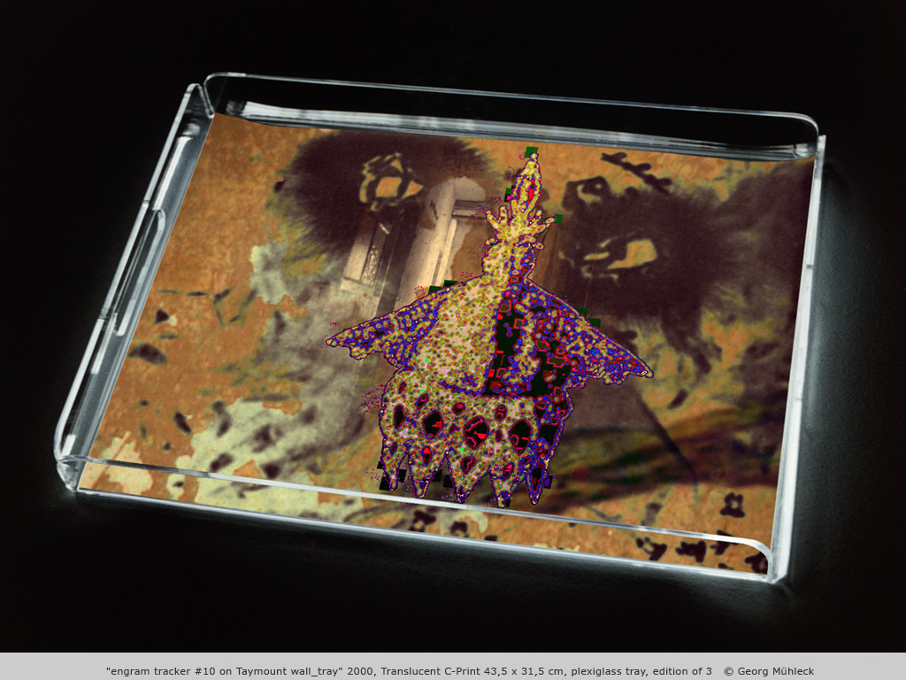 "engram tracker #10 on Taymount wall_tray" 2000, Translucent C-Print 43,5 x 31,5 cm, plexiglass tray, edition of 3   © Georg Mühleck