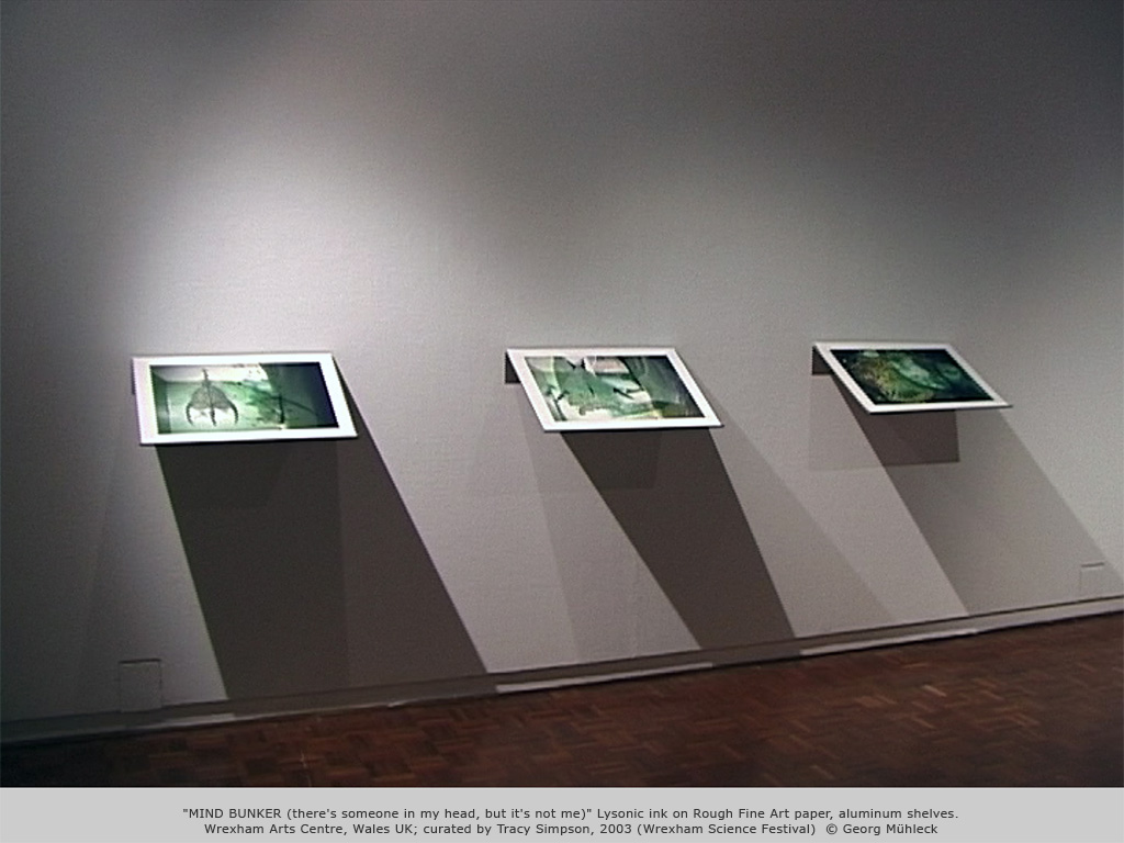 "MIND BUNKER (there's someone in my head, but it's not me)" Lysonic ink on Rough Fine Art paper, aluminum shelves. Wrexham Arts Centre, Wales UK; curated by Tracy Simpson, 2003 (Wrexham Science Festival)  © Georg Mühleck