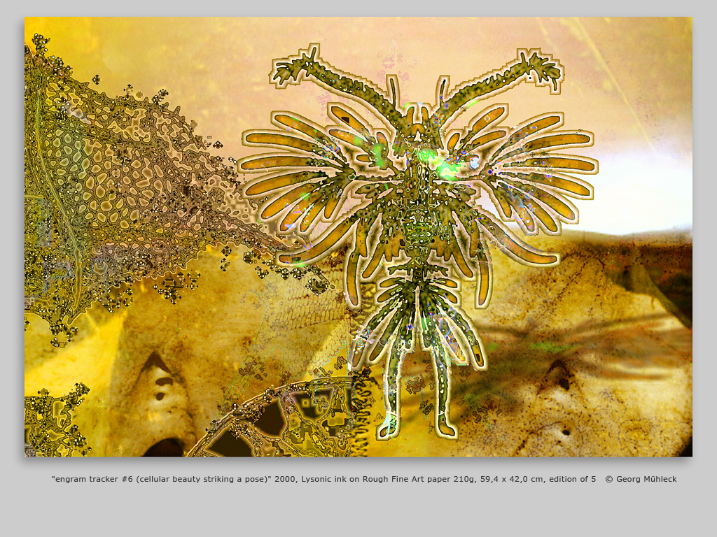 "engram tracker #6 (cellular beauty striking a pose)" 2000, Lysonic ink on Rough Fine Art paper 210g, 59,4 x 42,0 cm, edition of 5   © Georg Mühleck