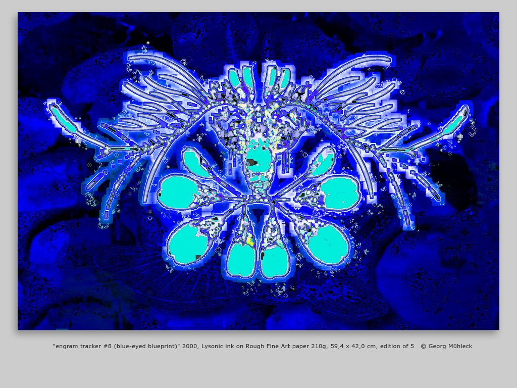 "engram tracker #8 (blue-eyed blueprint)" 2000, Lysonic ink on Rough Fine Art paper 210g, 59,4 x 42,0 cm, edition of 5   © Georg Mühleck