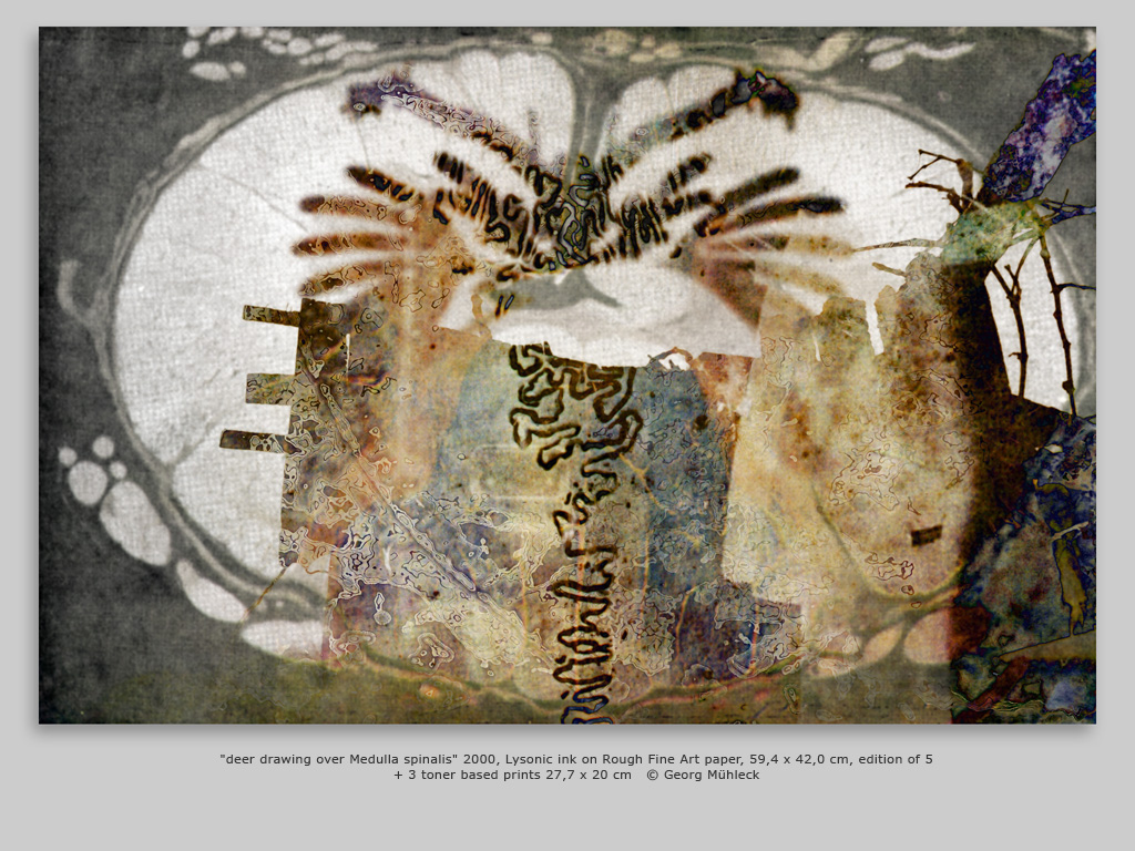 "deer drawing over Medulla spinalis" 2000, Lysonic ink on Rough Fine Art paper, 59,4 x 42,0 cm, edition of 5 + 3 toner based prints 27,7 x 20 cm   © Georg Mühleck