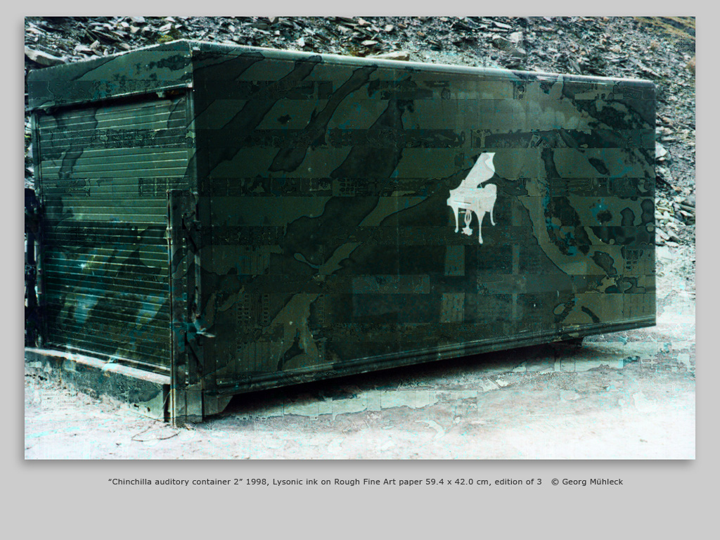 “Chinchilla auditory container 2” 1998, Lysonic ink on Rough Fine Art paper 59.4 x 42.0 cm, edition of 3   © Georg Mühleck