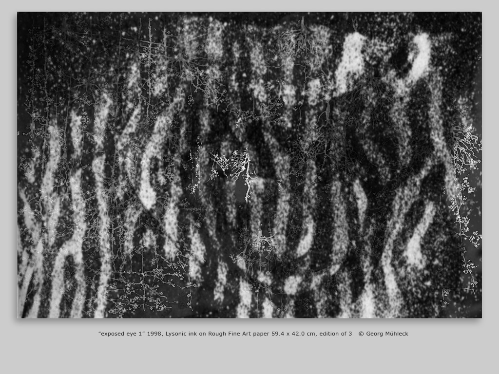 “exposed eye 1” 1998, Lysonic ink on Rough Fine Art paper 59.4 x 42.0 cm, edition of 3   © Georg Mühleck