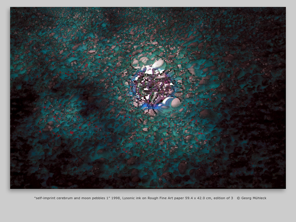 “self-imprint cerebrum and moon pebbles 1” 1998, Lysonic ink on Rough Fine Art paper 59.4 x 42.0 cm, edition of 3   © Georg Mühleck