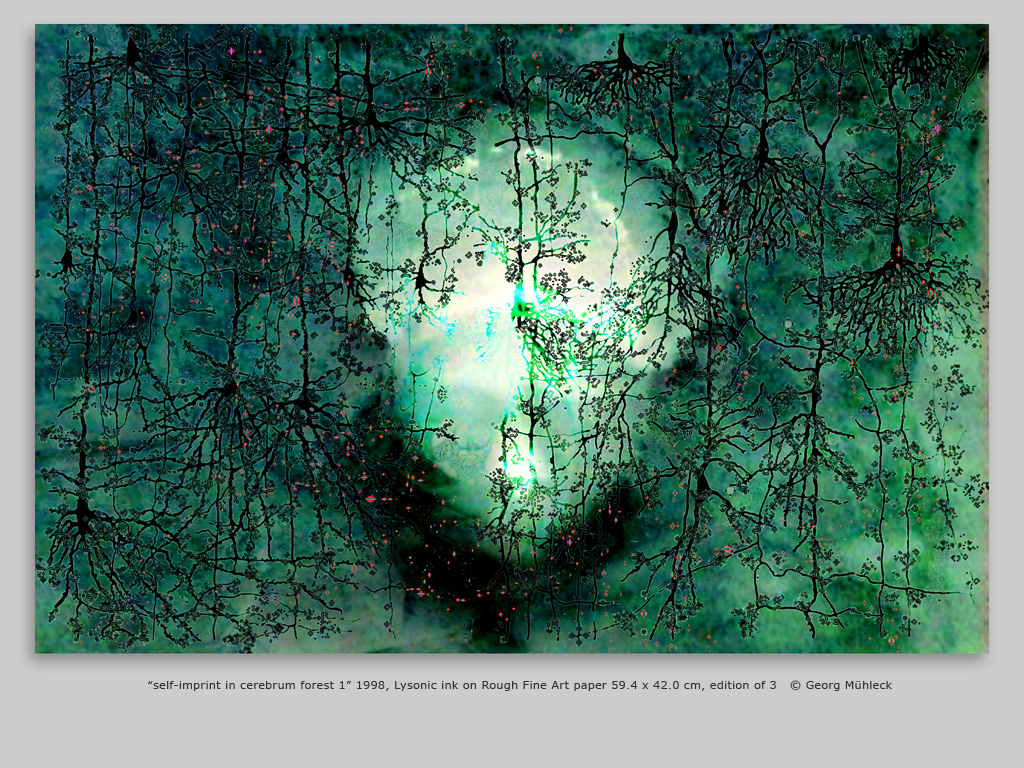 “self-imprint in cerebrum forest 1” 1998, Lysonic ink on Rough Fine Art paper 59.4 x 42.0 cm, edition of 3   © Georg Mühleck