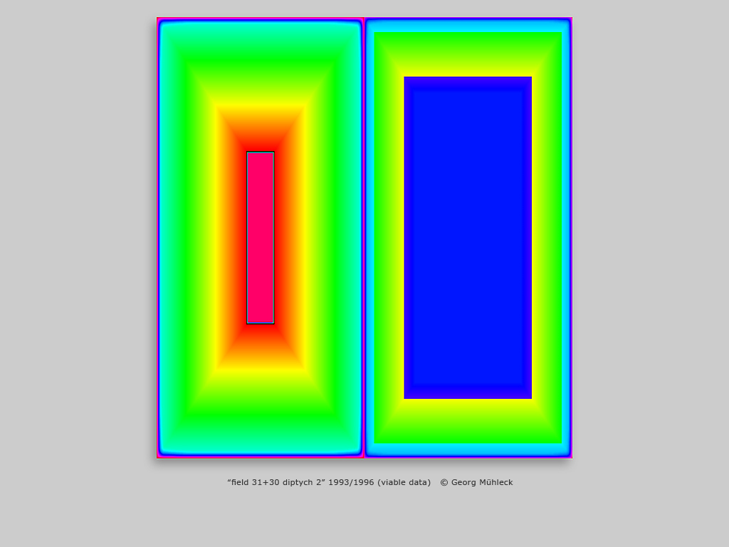 “field 31+30 diptych 2” 1993/1996 (viable data)   © Georg Mühleck