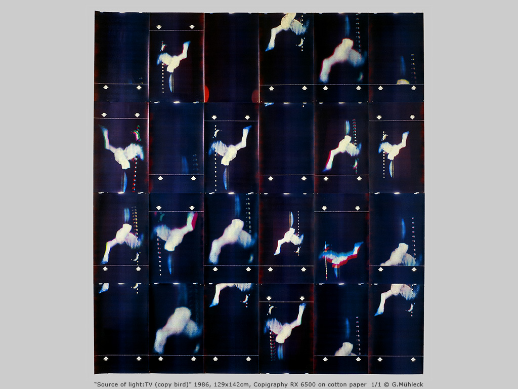 “Source of light: TV (copy bird)” 1986, 129 x 142 cm