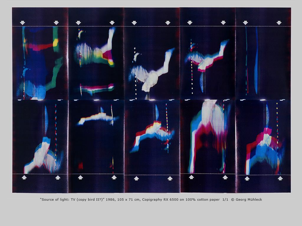 “Source of light: TV (copy bird II?)” 1986, 105 x 71 cm