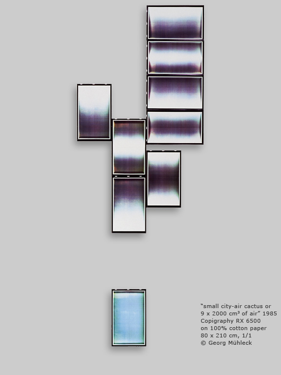 Òsmall city-air cactus or  9 x 2000 cm3 of airÓ 1985 Copigraphy RX 6500  on 100% cotton paper  80 x 210 cm, 1/1   © Georg Mhleck