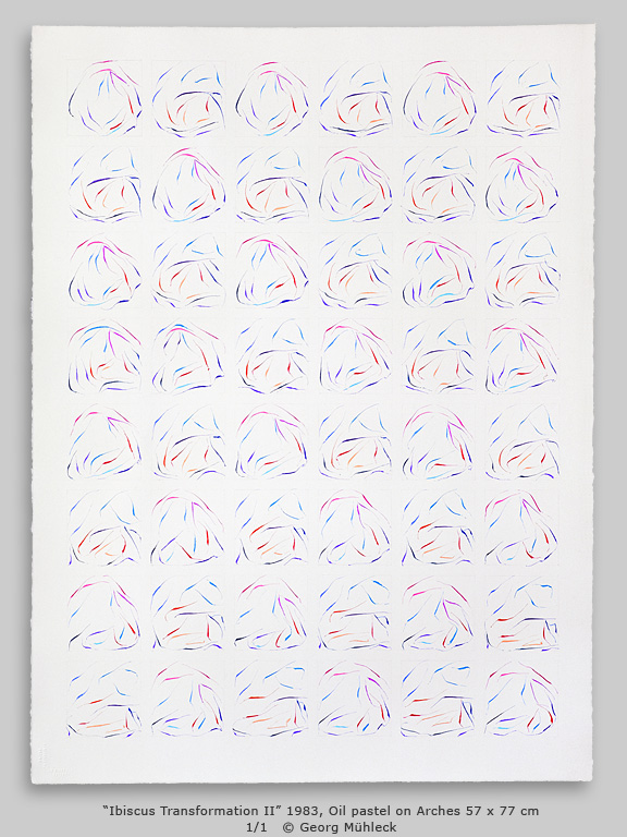 “Ibiscus Transformation II” 1983, Oil pastel 57 x 77 cm 1/1   © Georg Mühleck